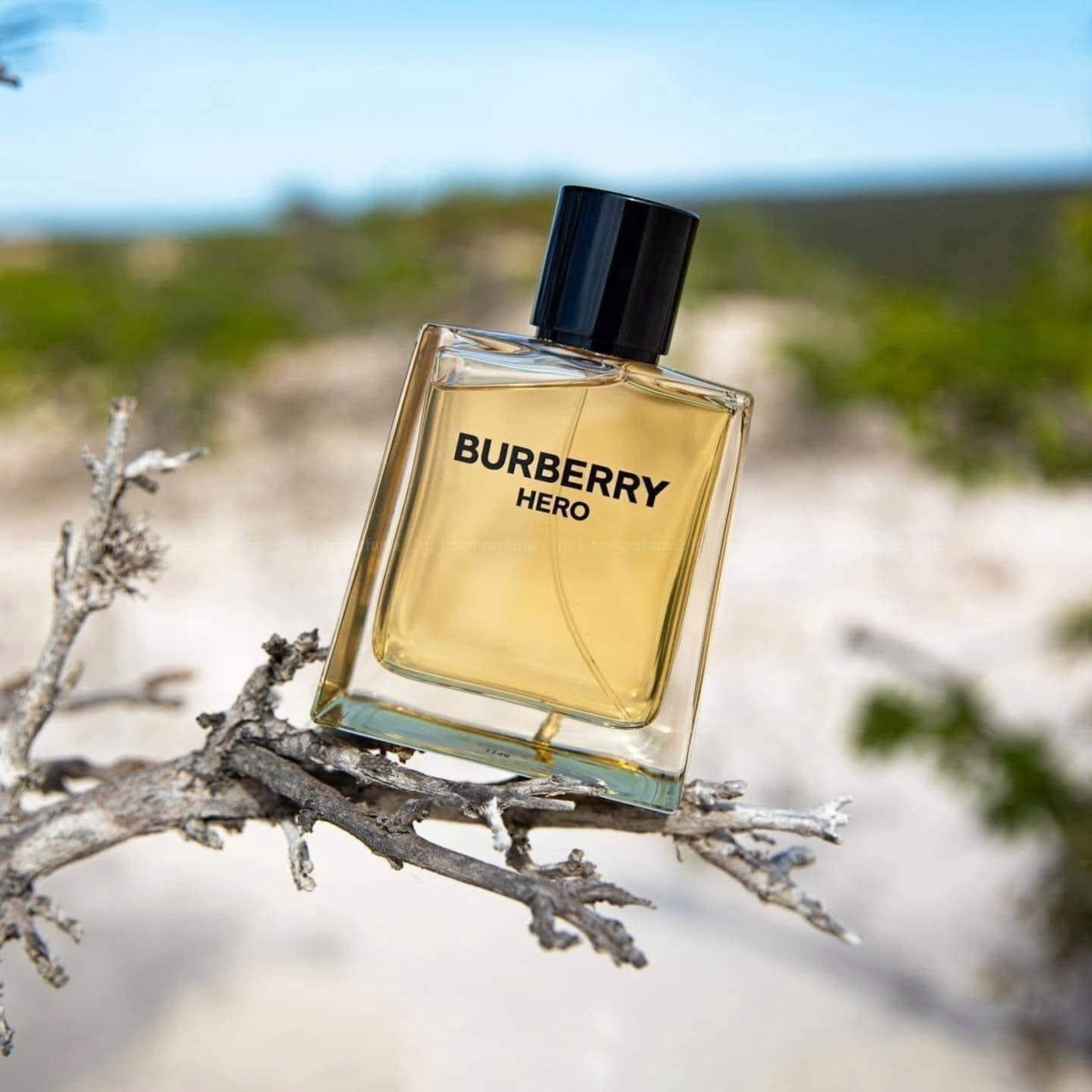 Nuoc-hoa-nam-Burberry-Hero-EDT-100ml-4-1200x1200